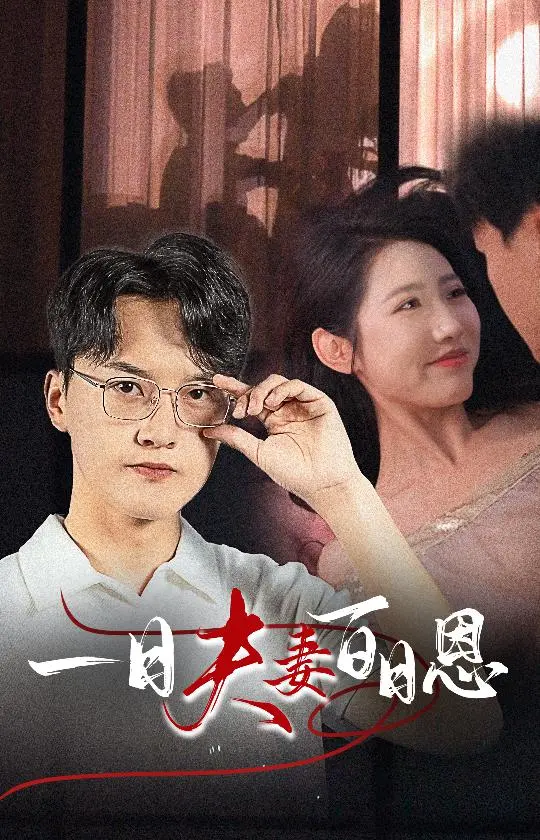 《一日夫妻百日恩》全集高清完整版在线观看与剧情解析