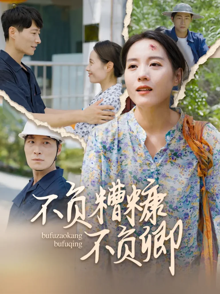 《不负糟糠不负卿》全集高清完整版在线观看与剧情解析