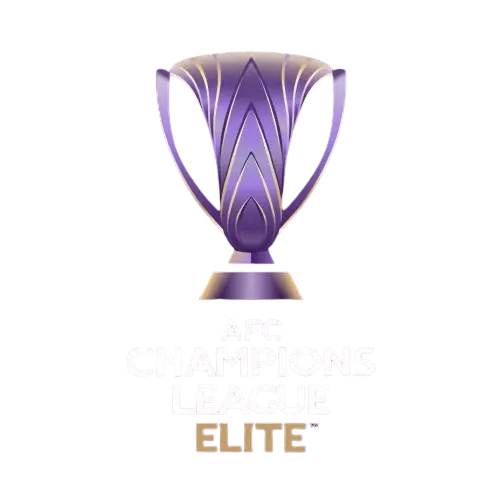 亚冠精英赛 川崎前锋vs山东泰山20241204