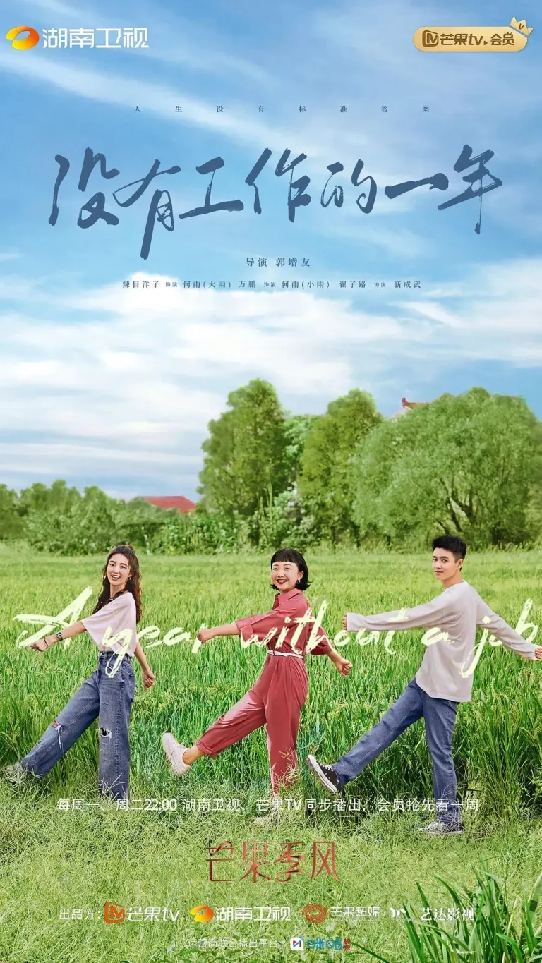 《没有工作的一年》全集高清完整版在线观看与剧情解析