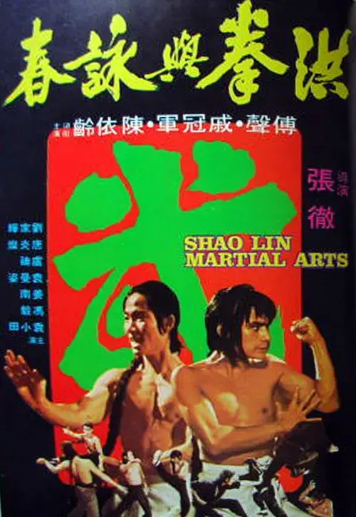 《洪拳与咏春[电影解说]》全集高清完整版在线观看与剧情解析