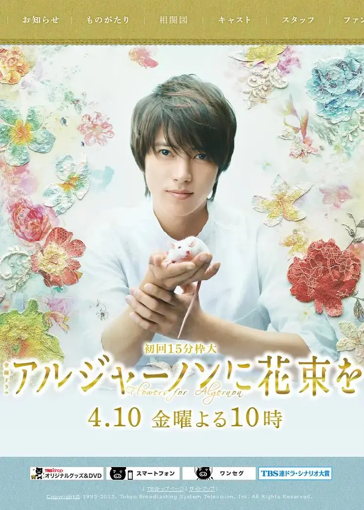 《献给阿尔吉侬的花束》全集高清完整版在线观看与剧情解析