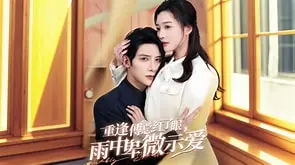 重逢傅总红了眼雨中卑微示爱